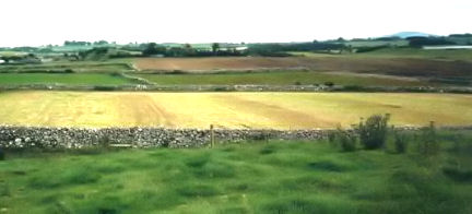 Farming in Cahermaculick in 1974