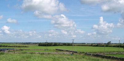 The big meadow beyond the house