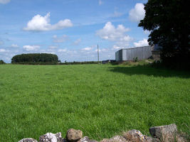 The field beside the house