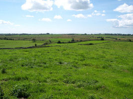 the high meadow from the hill