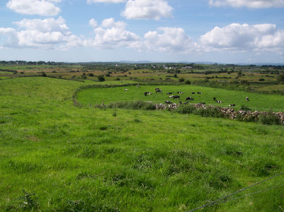 to grazing & dairying